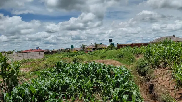 Residential Stand for Sale in Sandton Park