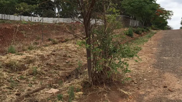 Residential Stand for Sale