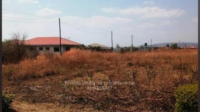 Stand for Sale in Galloway