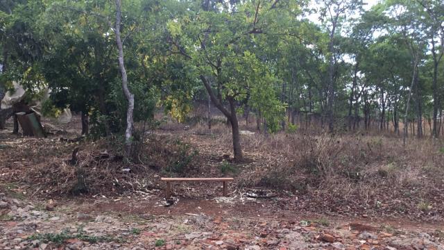 Stand for Sale in Lower Rangemore