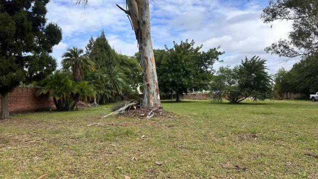 Stand for Sale in Greendale