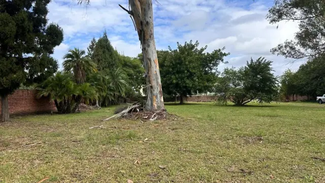 Residential Stand for Sale