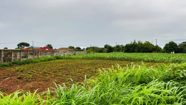 Residential Stand for Sale