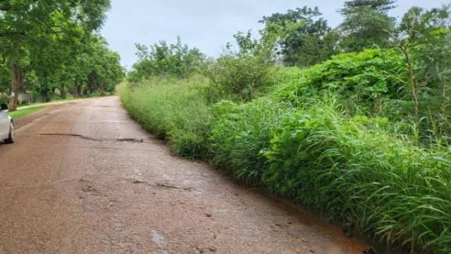 Stand for Sale in Mabelreign