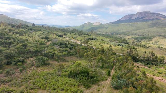 Stand for Sale in Nyanga