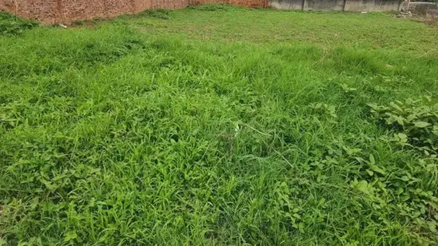 Residential Stand for Sale