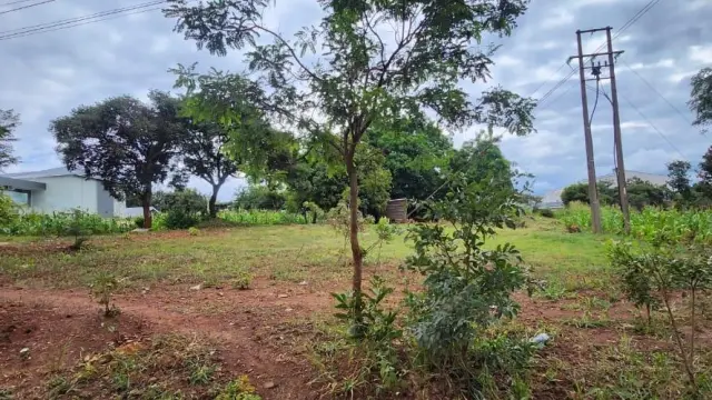 Residential Stand for Sale inMandara