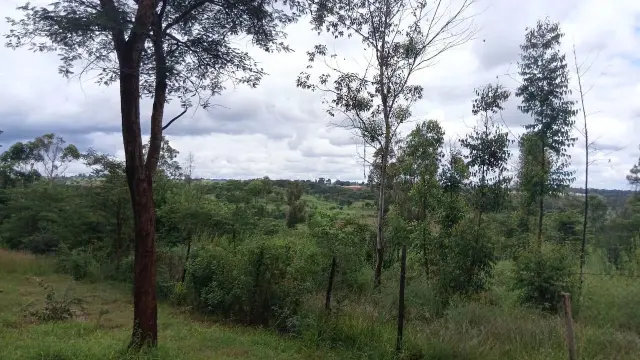 Farm/Plot for Sale in Glen Forest