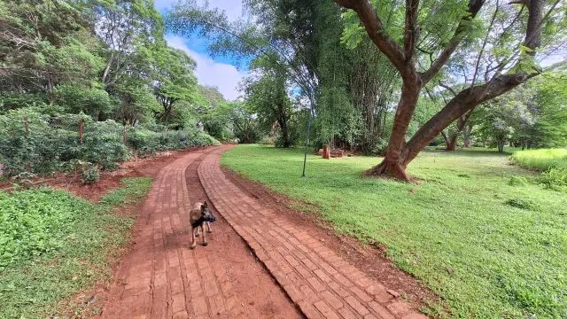 Residential Stand for Sale in Emerald Hill