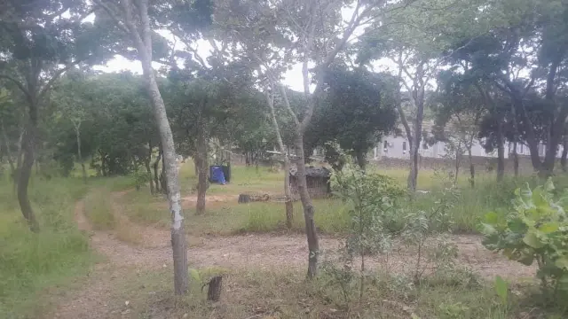 Residential Stand for Sale