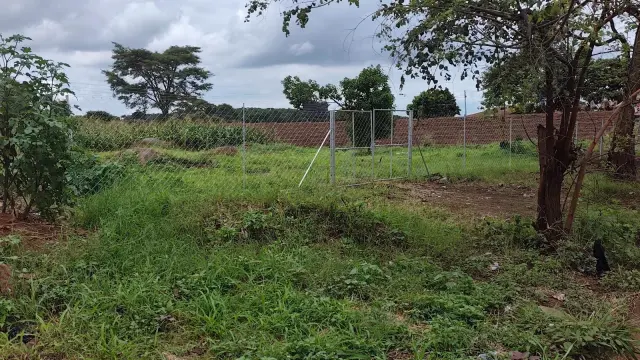 Residential Stand for Sale