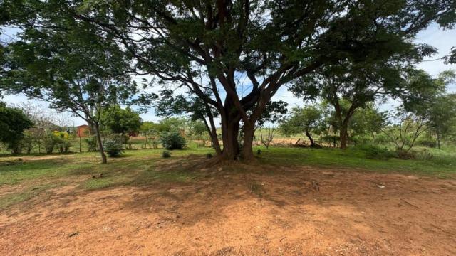 Stand for Sale in Chinhoyi