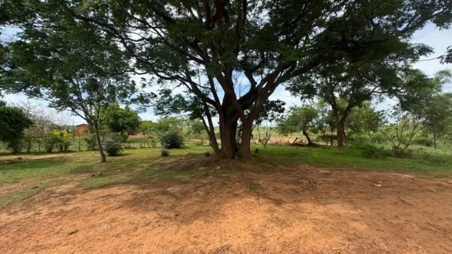 Residential Stand for Sale in Chinhoyi