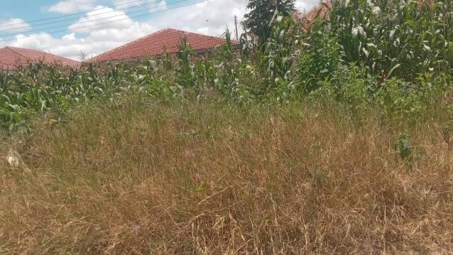 Stand for Sale in Southview Park