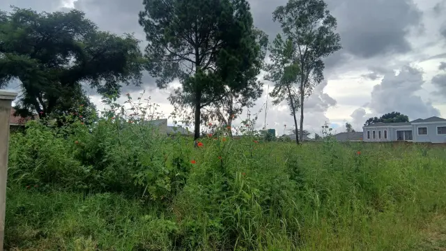 Residential Stand for Sale in Crowhill Views