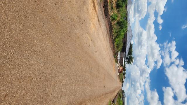 Stand for Sale in Tynwald