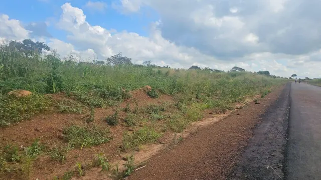 Residential Stand for Sale