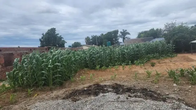 Residential Stand for Sale