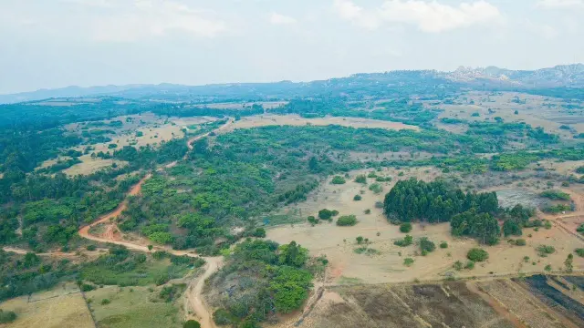 Commercial Stand for Sale