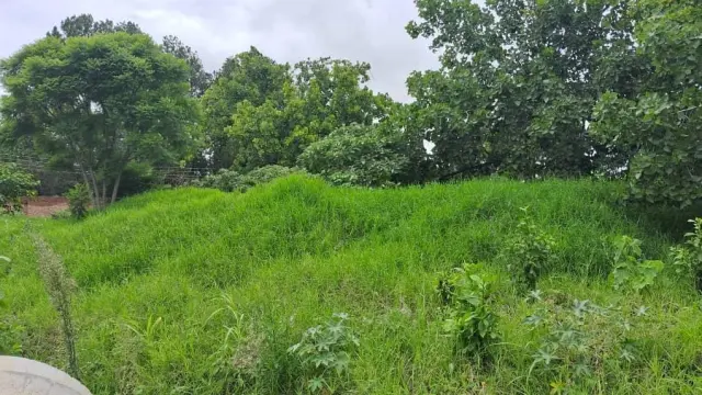 Residential Stand for Sale