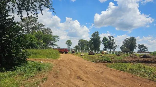 Residential Stand for Sale