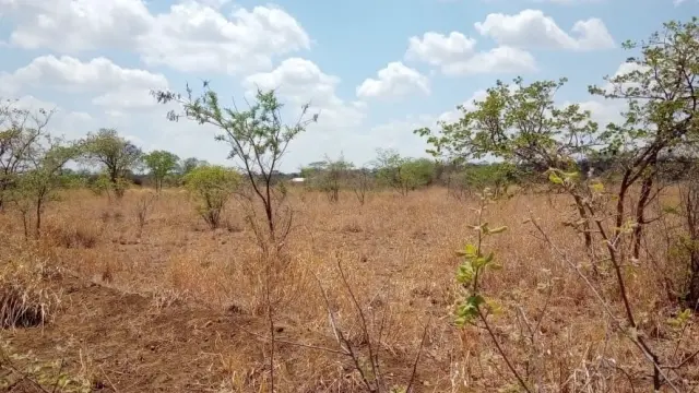 Residential Stand for Sale in Ruwa