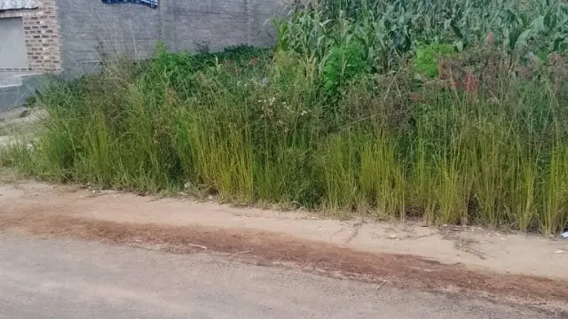 Residential Stand for Sale in Adelaide Park