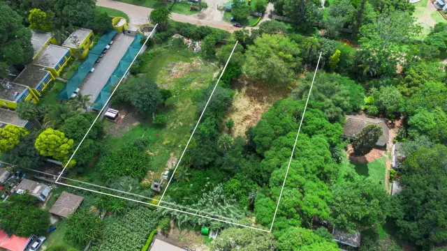 Commercial Stand for Sale