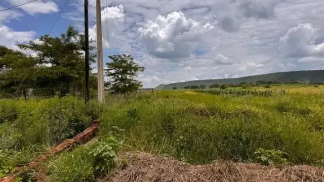 Farm/Plot for Sale