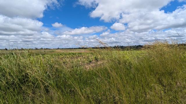 Stand for Sale in Manresa