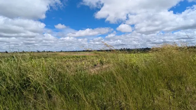 Residential Stand for Sale in Manresa