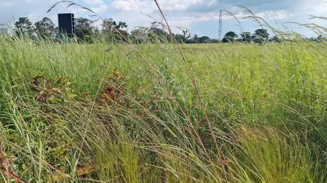 Commercial Stand for Sale in Borrowdale