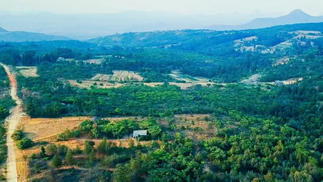 Commercial Stand for Sale