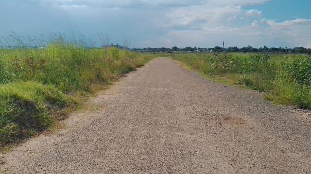 Stand for Sale in Borrowdale