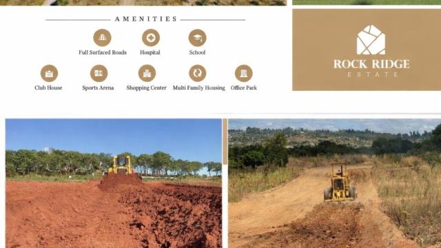 Stand for Sale in Rock Ridge