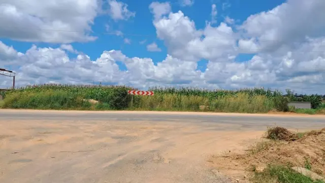 Commercial Stand for Sale