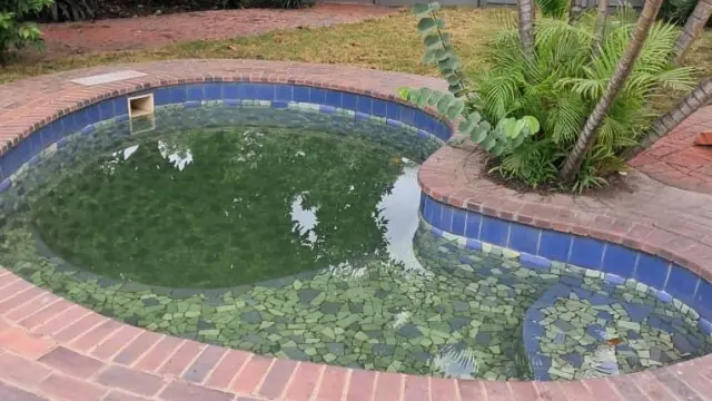 Flat/Apartment to Rent in Newlands