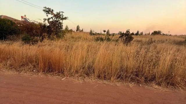 Stand for Sale in Norton