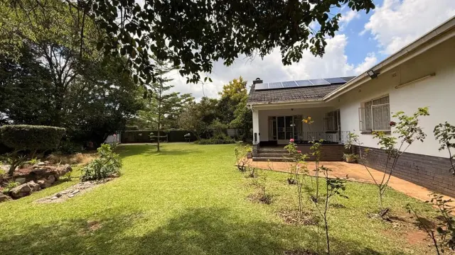 House to Rent in Alexandra Park