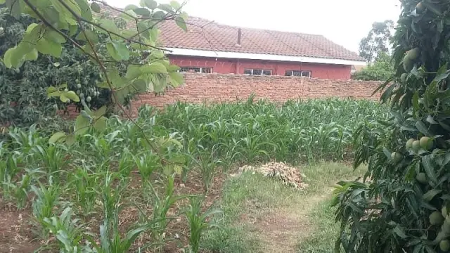 Residential Stand for Sale in Glen View