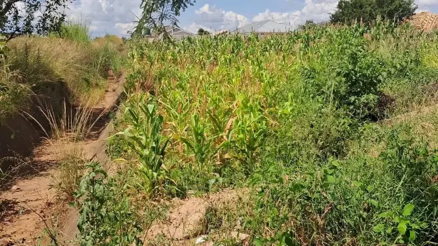 Residential Stand for Sale