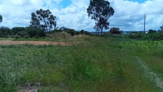 Commercial Stand for Sale