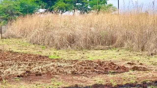 Residential Stand for Sale