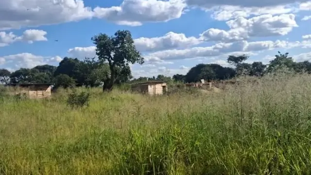 Residential Stand for Sale