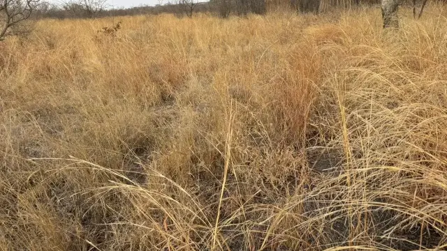 Commercial Stand for Sale