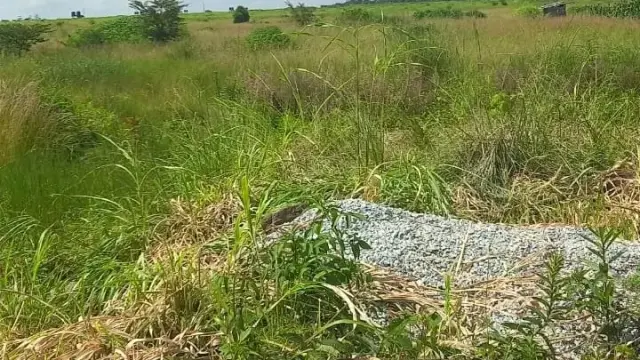 Residential Stand for Sale