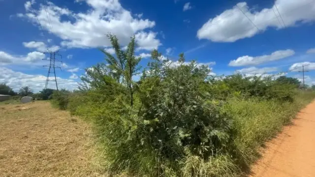 Residential Stand for Sale