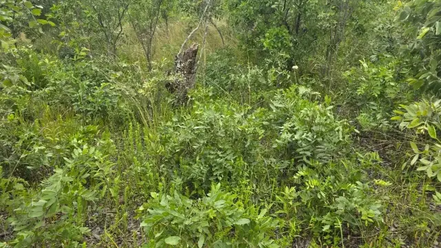 Residential Stand for Sale