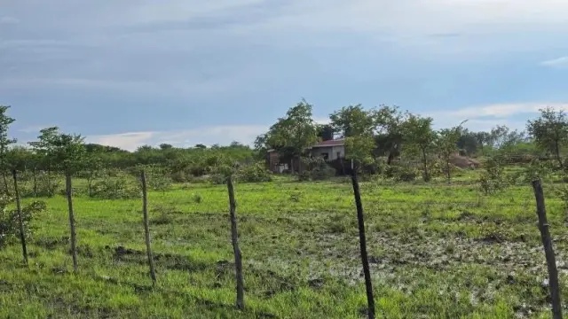 Commercial Stand for Sale in Kadoma