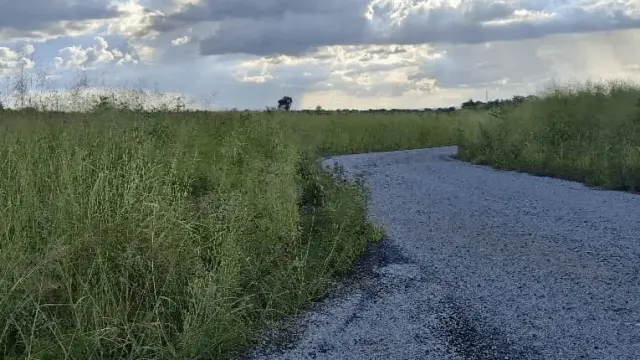 Residential Stand for Sale